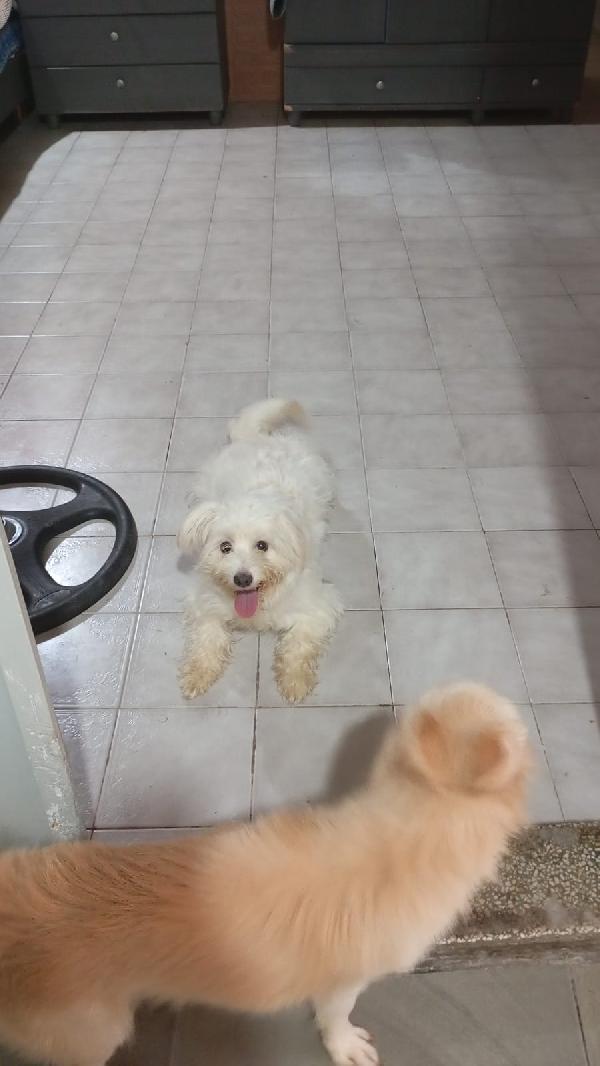 LUNA Foto 4